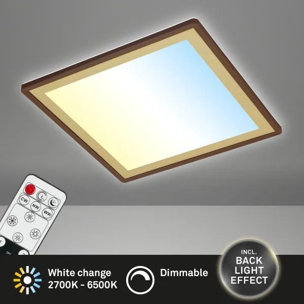 Briloner 7459-417 - LED Stmievateľné stropné svietidlo DECO LED/24W/230V + DO