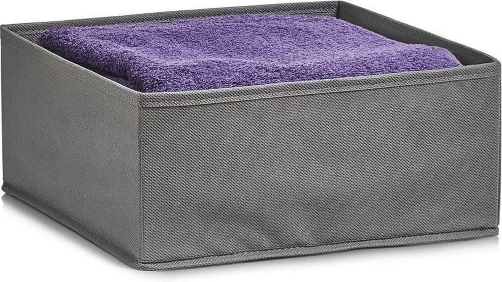 Zeller Present Organizér na oblečenie a spodnú bielizeň, 28x28x13 cm, sivý NON-W