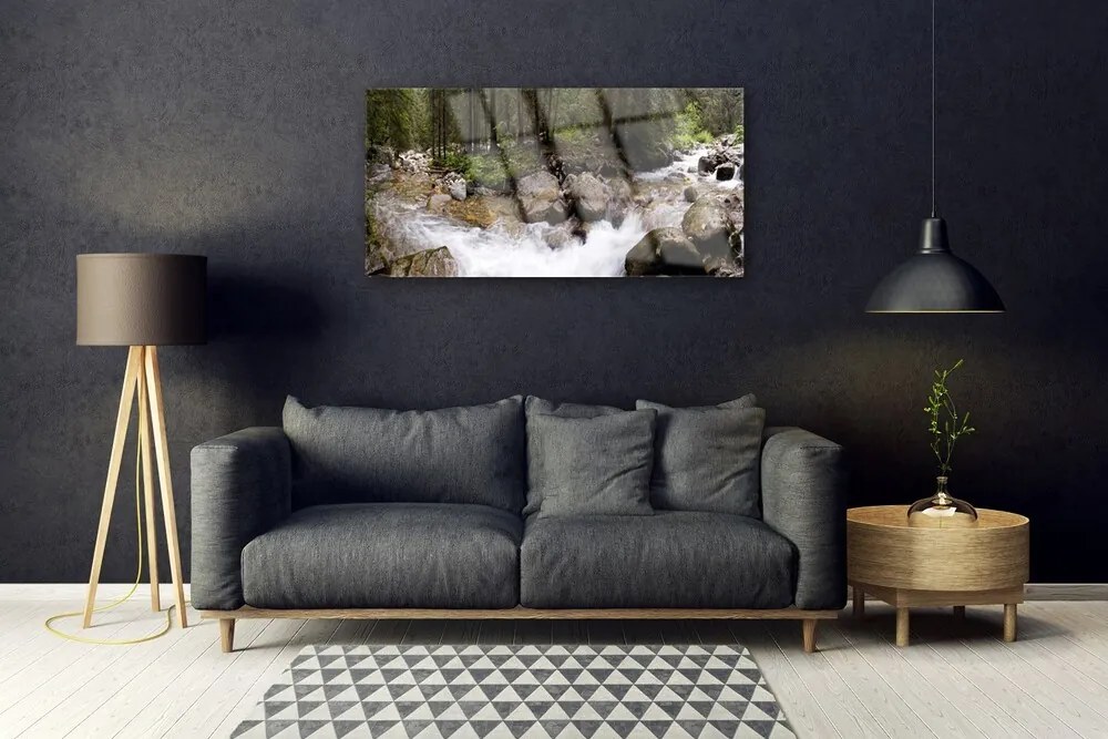 Skleneny obraz Les rieka vodopády 140x70 cm