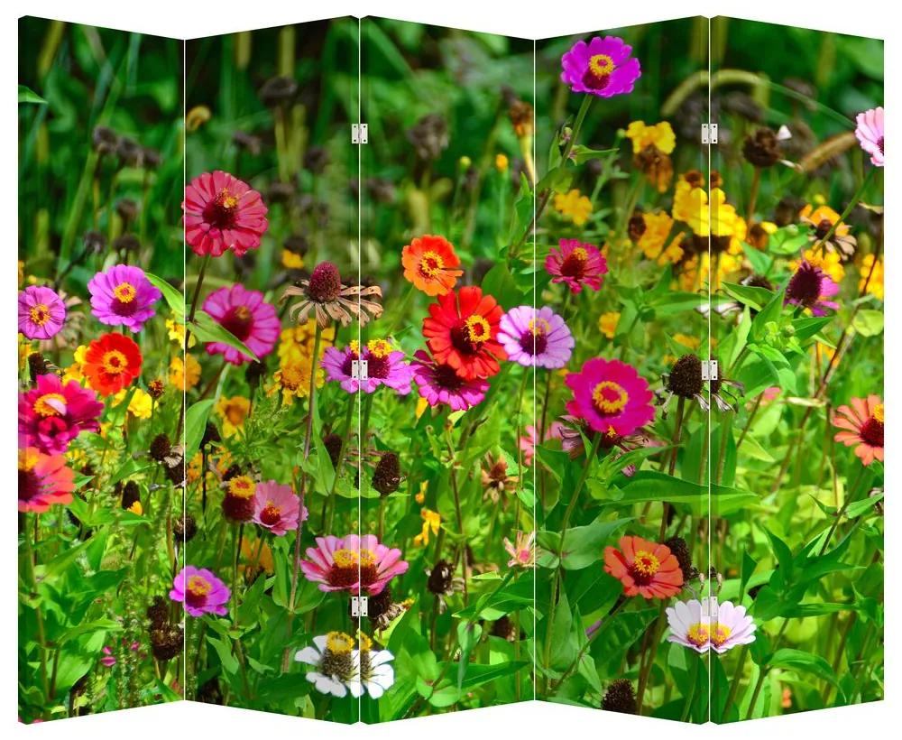 Paraván - Lúčne kvety (210x170 cm)