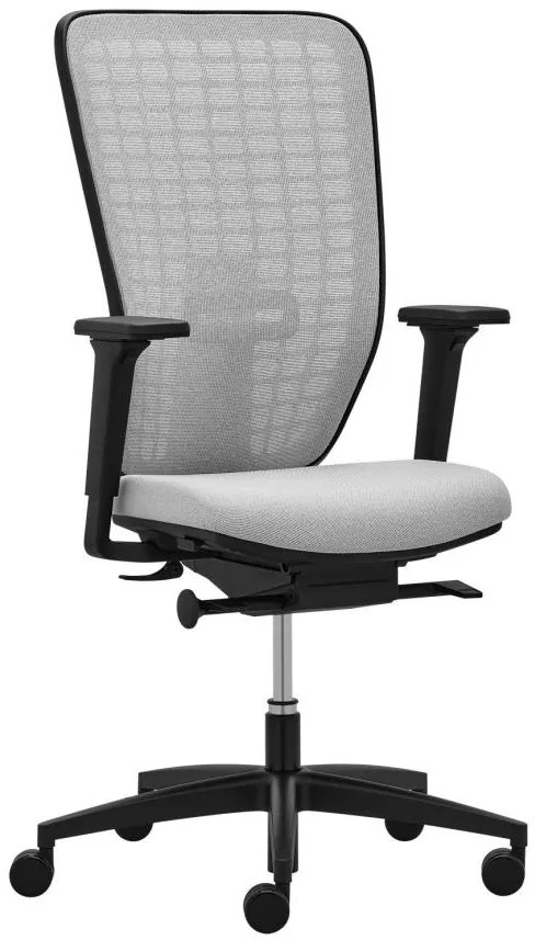RIM -  RIM Ergonomická kancelárska stolička SPACE SP 1501 čalúnenie SILVERTEX koženka