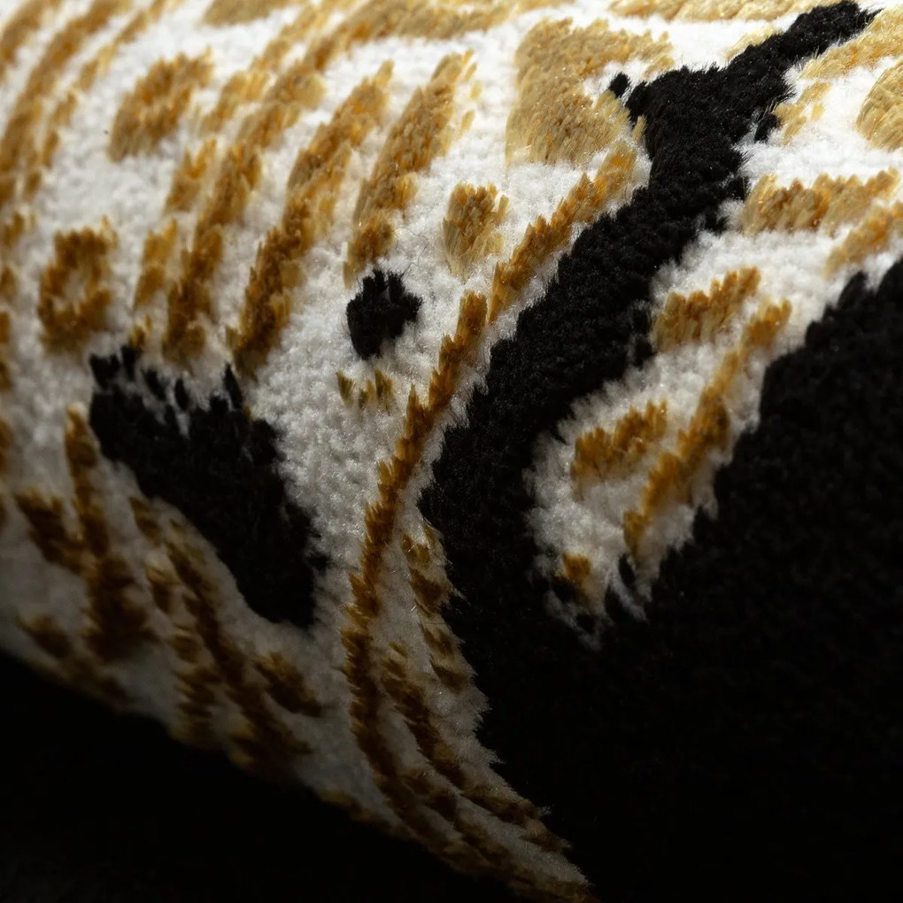 Dywany Łuszczów, Kusový koberec Allure 1965 black/gold, 180x270, čierna, kancelária