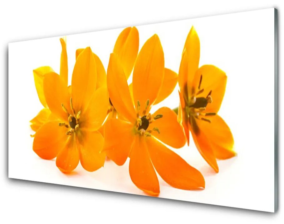 Nástenný panel  Oranžové kvety 140x70cm