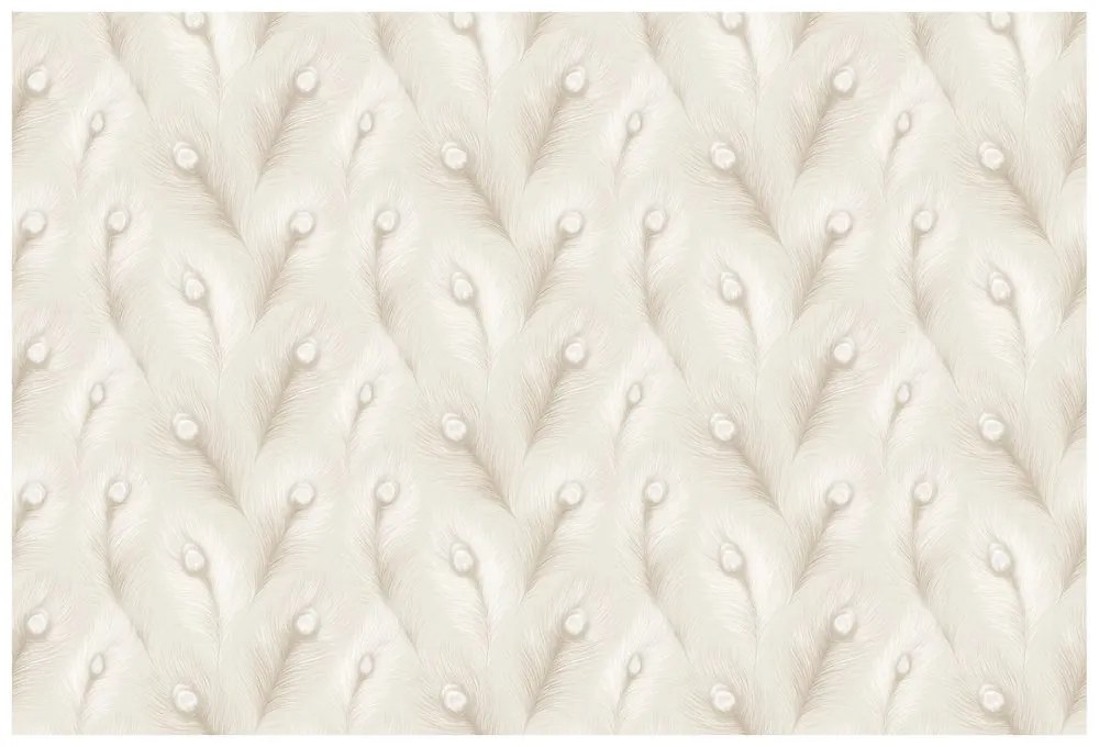 Samolepiaca tapeta béžové pávie perie v glamour štýle