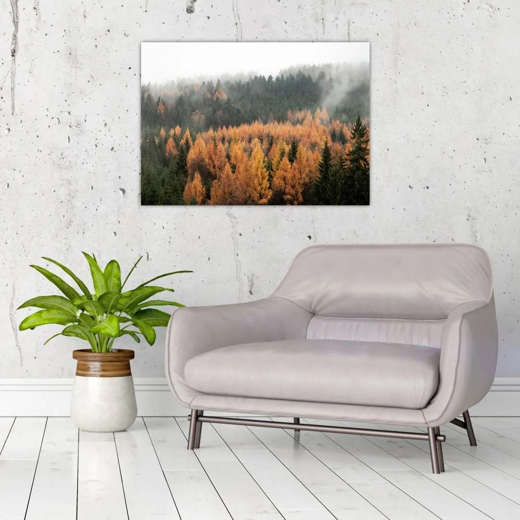 Sklenený obraz - Jesenný les (70x50 cm)