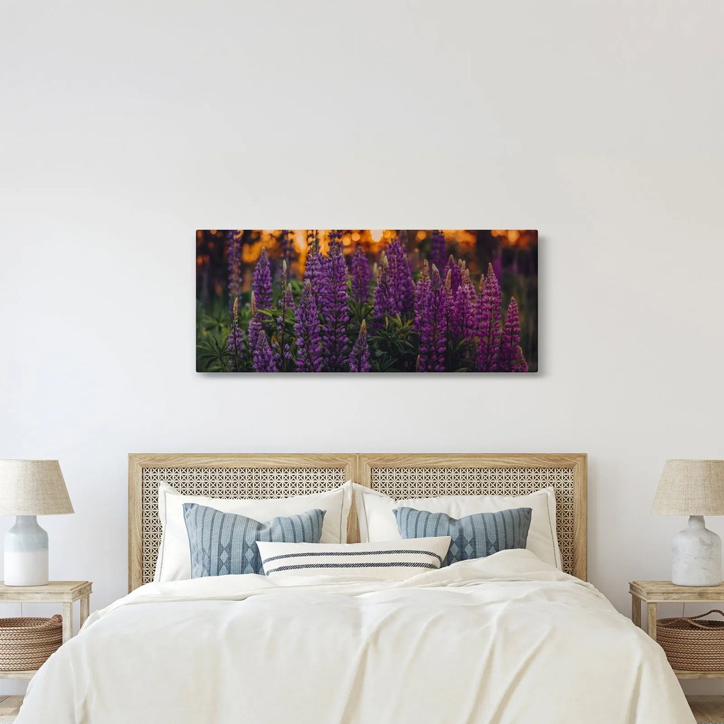 Obraz kvetov vlčieho bôbu (120x50 cm)