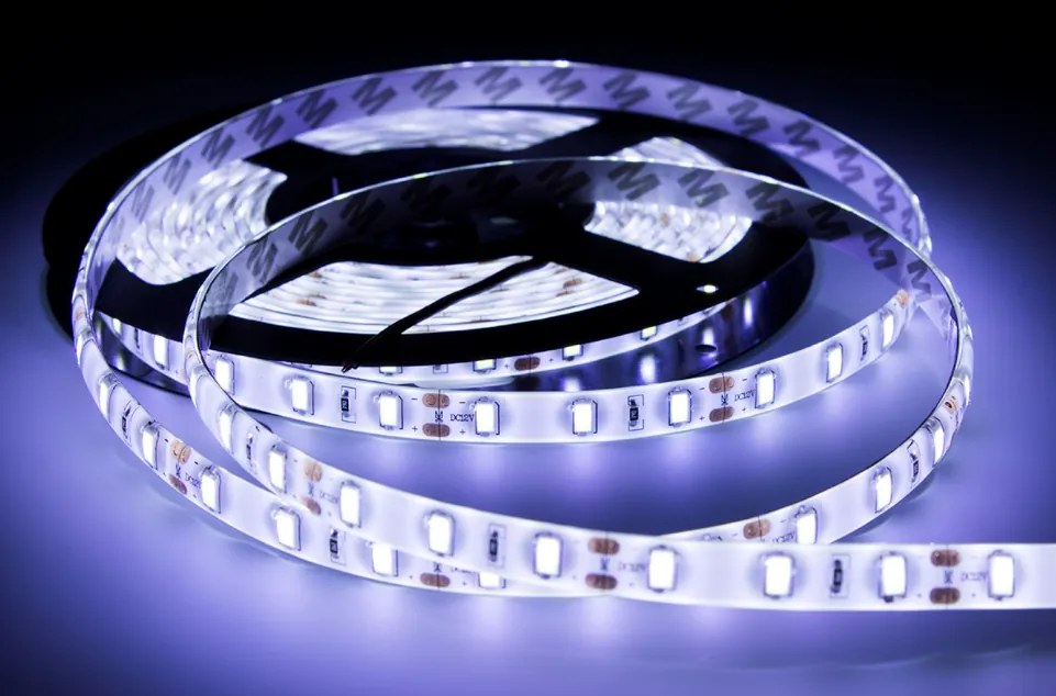 ECOLIGHT LED pásik - SMD 5630 - 5m - 60LED/m - 18W/m - IP65 - studená biela