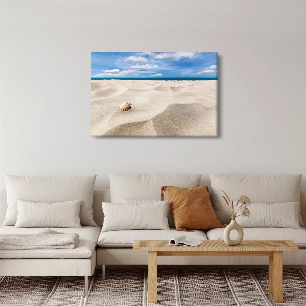 Obraz - Mušle na pláži (90x60 cm)
