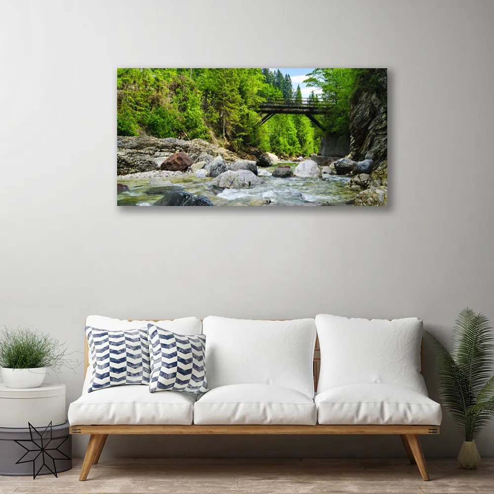Obraz Canvas Drevený most v lese 120x60 cm