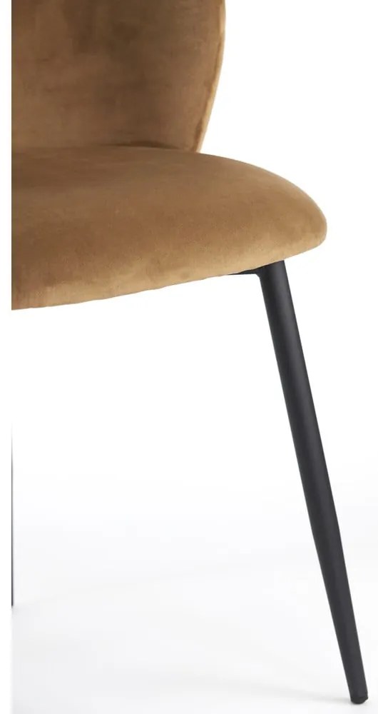 Hnedá zamatová jedálenská stolička Elyna - Light &amp; Living