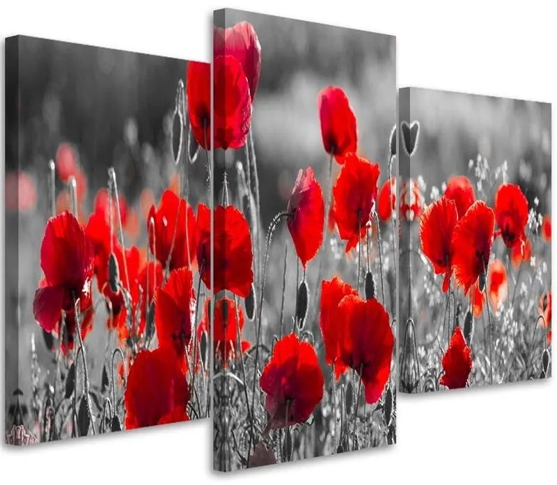 Gario Obraz na plátne Červené maky na čiernobielej lúke - 3 dielny Rozmery: 150 x 100 cm