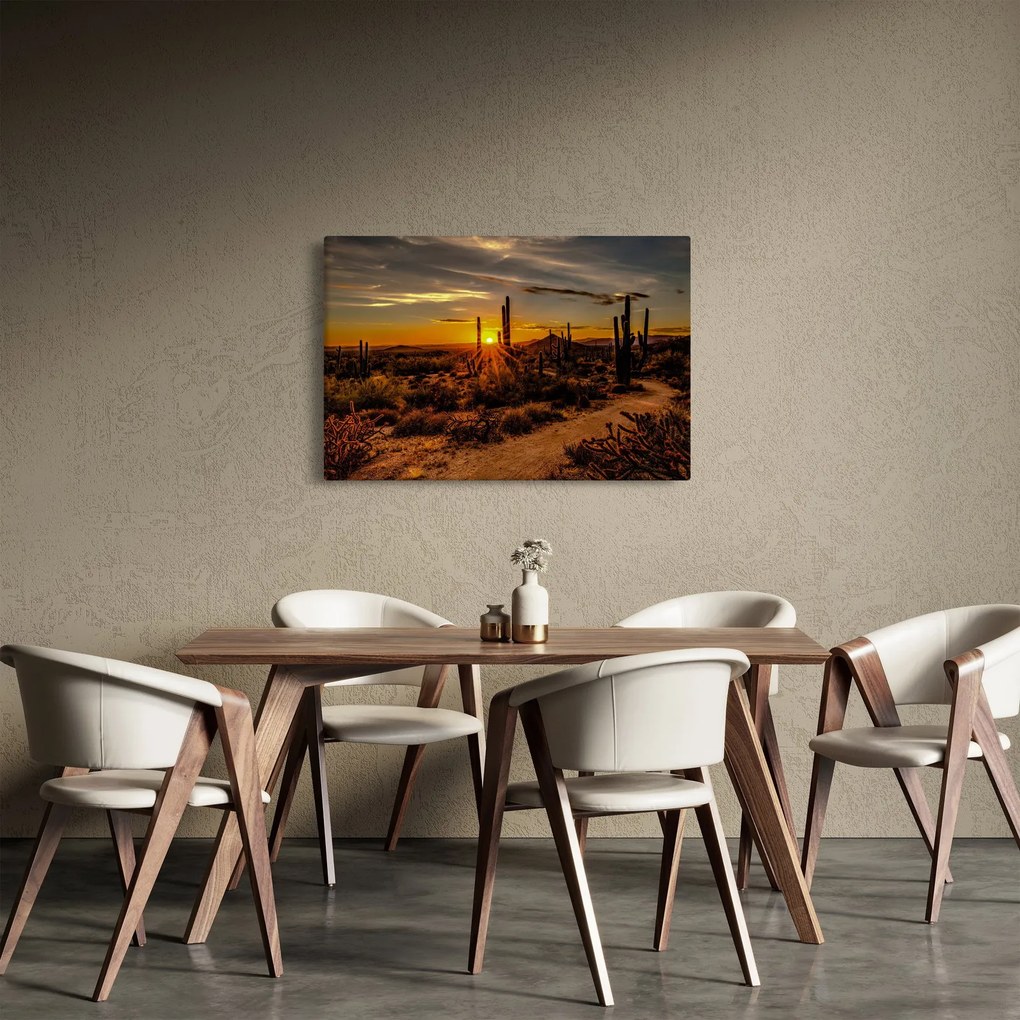 Obraz - Koniec dňa v arizonskej púšti (90x60 cm)