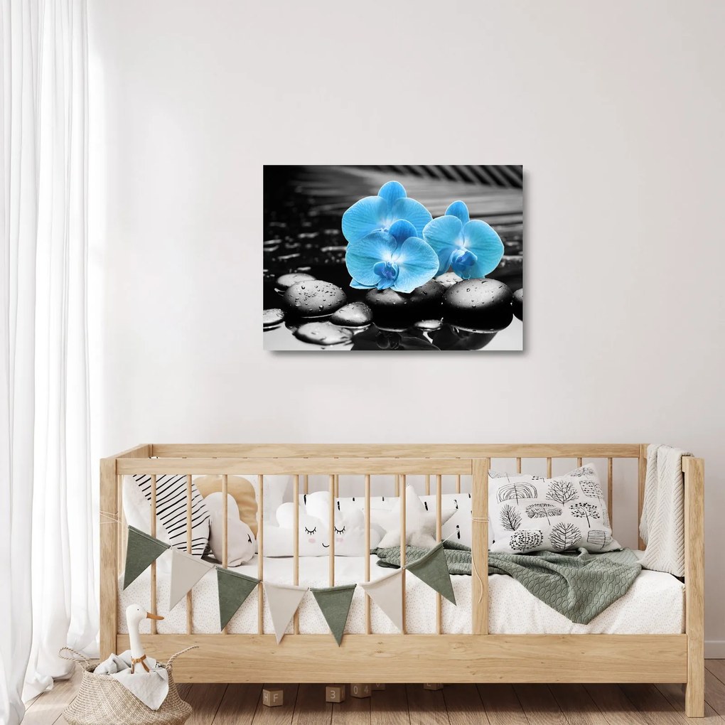 Sklenený obraz - Modrá orchidea (70x50 cm)