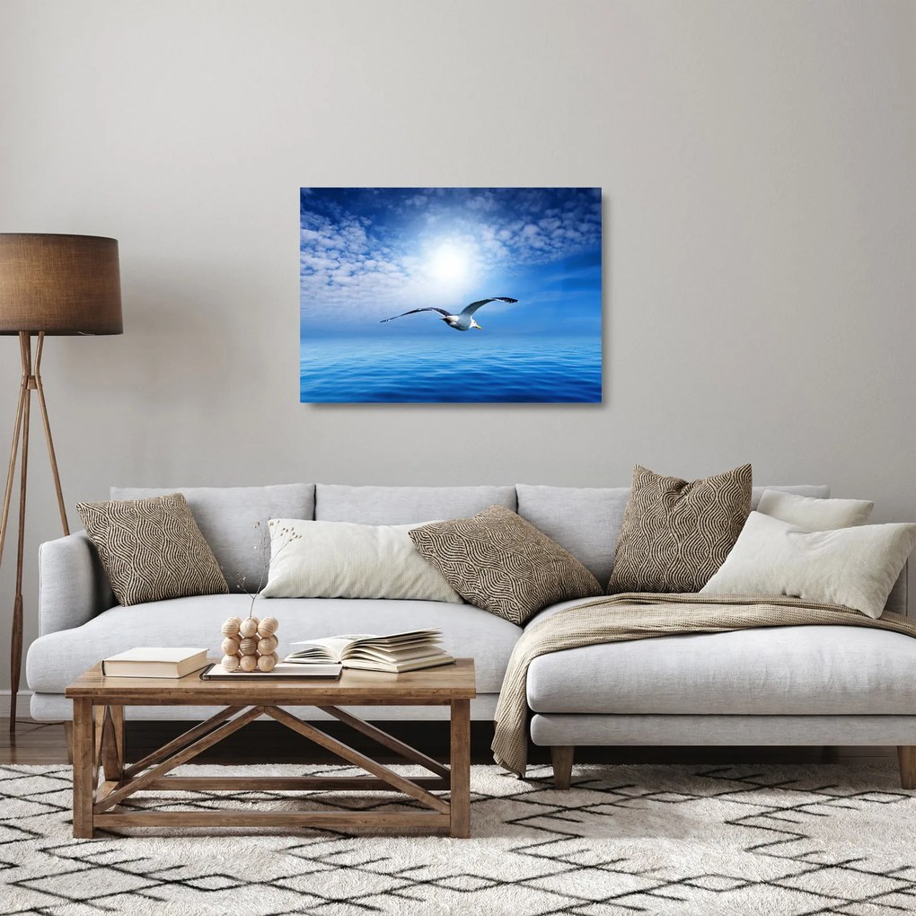 Sklenený obraz - Čajka nad morom (70x50 cm)