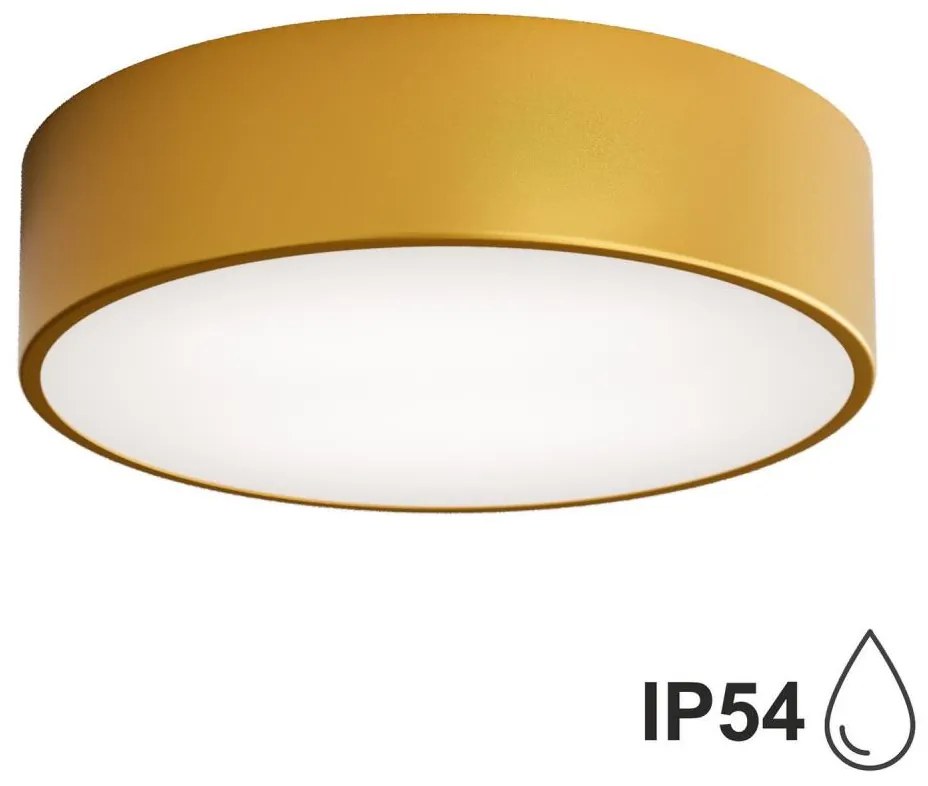 Brilagi - Kúpeľňové stropné svietidlo CLARE 2xE27/24W/230V pr. 30 cm IP54 zlatá