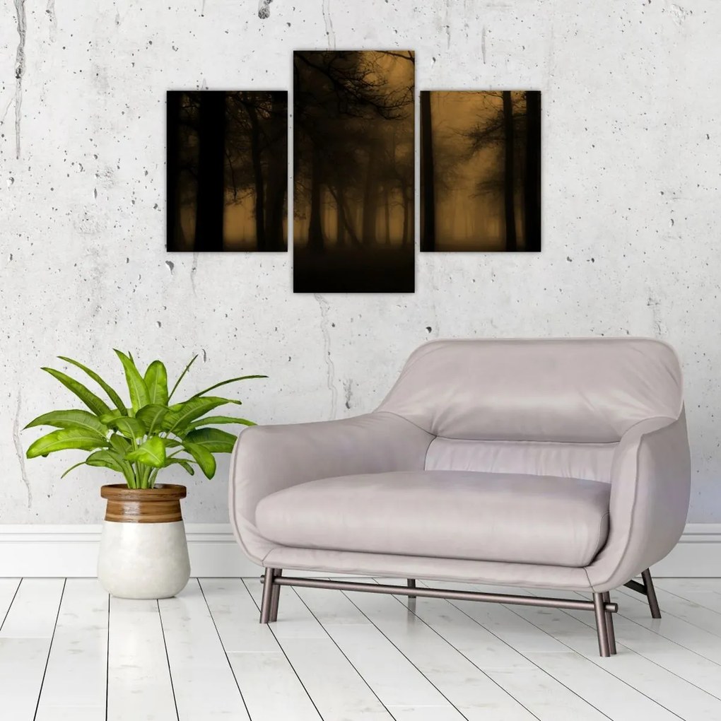 Obraz - Temný les (90x60 cm)