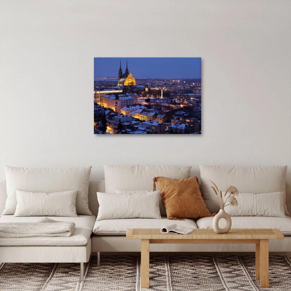 Obraz - Katedrála sv. Petra a Pavla, Brno, Česká Republika (70x50 cm)