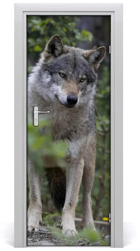 Samolepiace fototapety na dvere Vlk v lese 75x205 cm