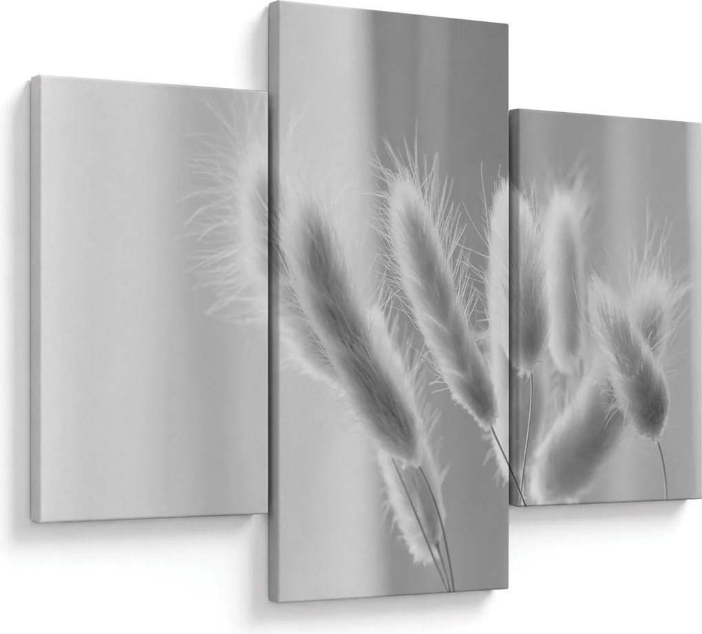 Obraz - Bunny tail grass (90x60 cm)