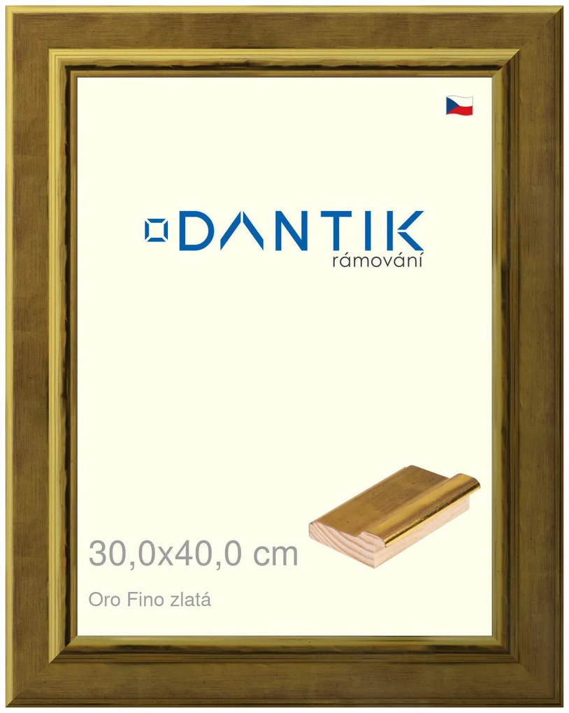 DANTIK rám na obraz 30x40 | Oro Fino zlatá (Plexi Čiré)