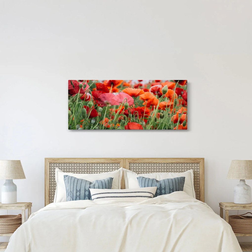 Obraz z poľa vlčích makov (120x50 cm)