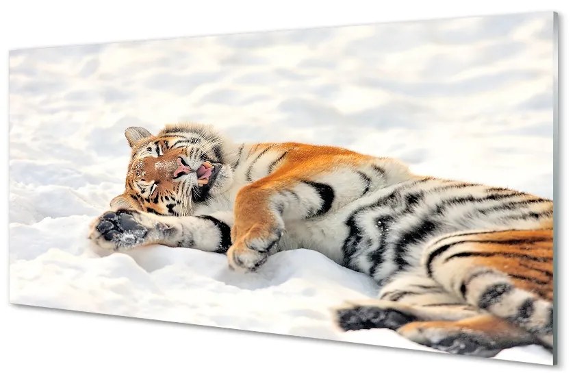 Sklenený obraz Tiger winter 140x70 cm