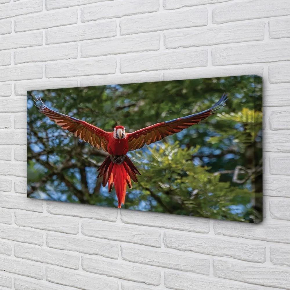 Obraz na plátne ara papagáj 125x50 cm