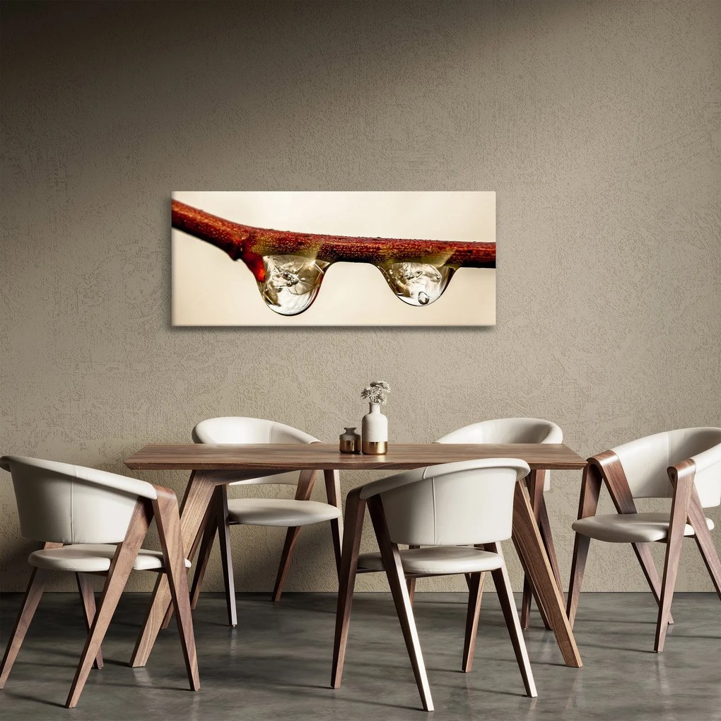 Obraz kvapiek na vetve (120x50 cm)