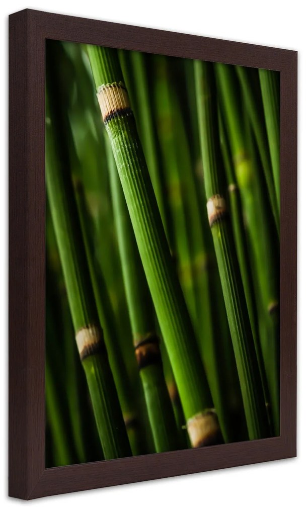 Gario Plagát Bambusový les Farba rámu: Bez rámu, Rozmery: 40 x 60 cm