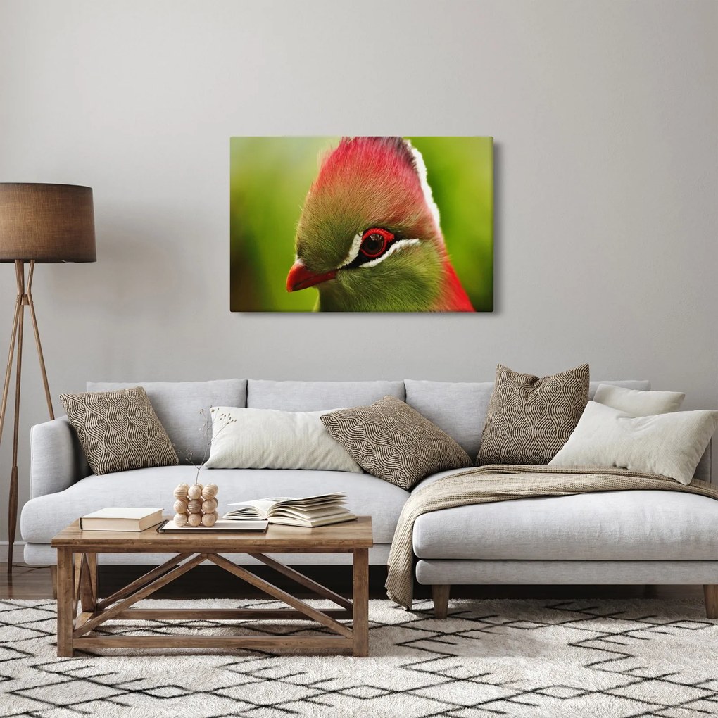 Obraz farebného vtáka (90x60 cm)