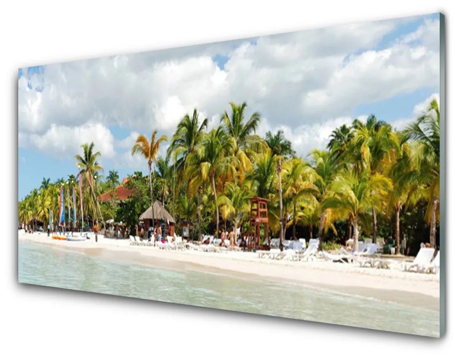 Obraz na akrylátovom skle Pláž palma stromy príroda 100x50 cm