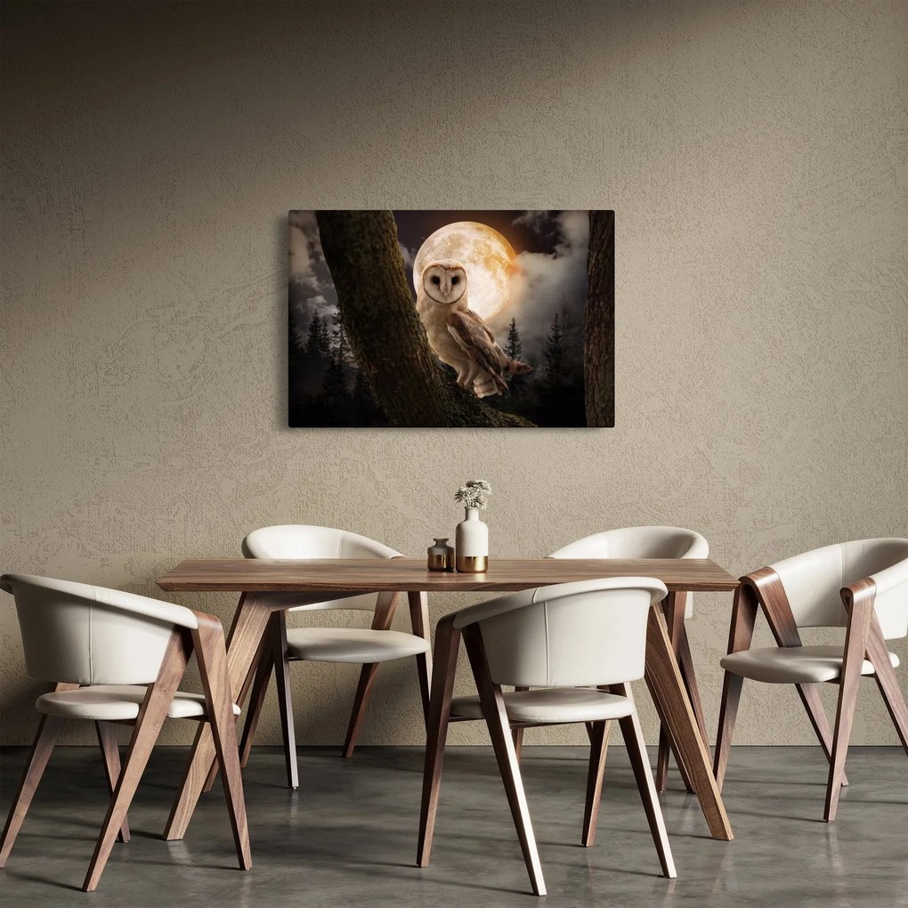 Obraz sovy (90x60 cm)