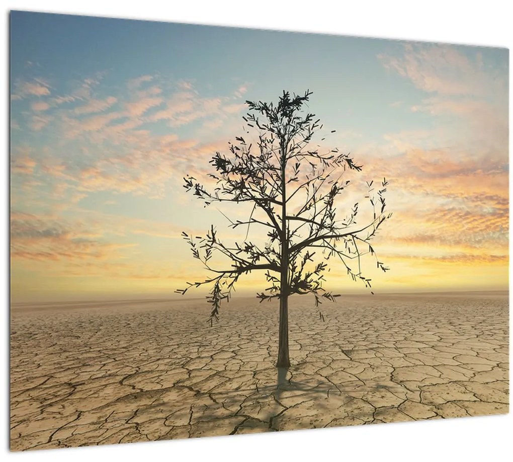 Sklenený obraz - Strom na púšti (70x50 cm)