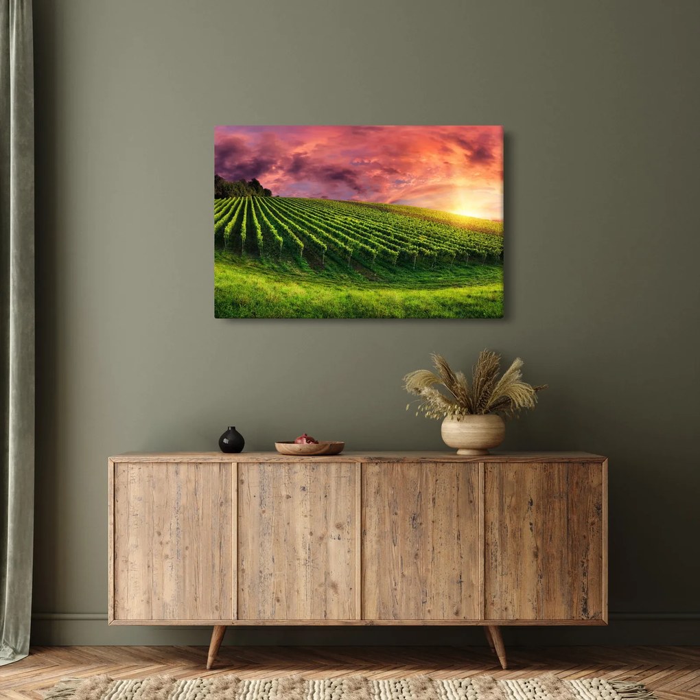 Obraz vinice s farebným nebom (90x60 cm)