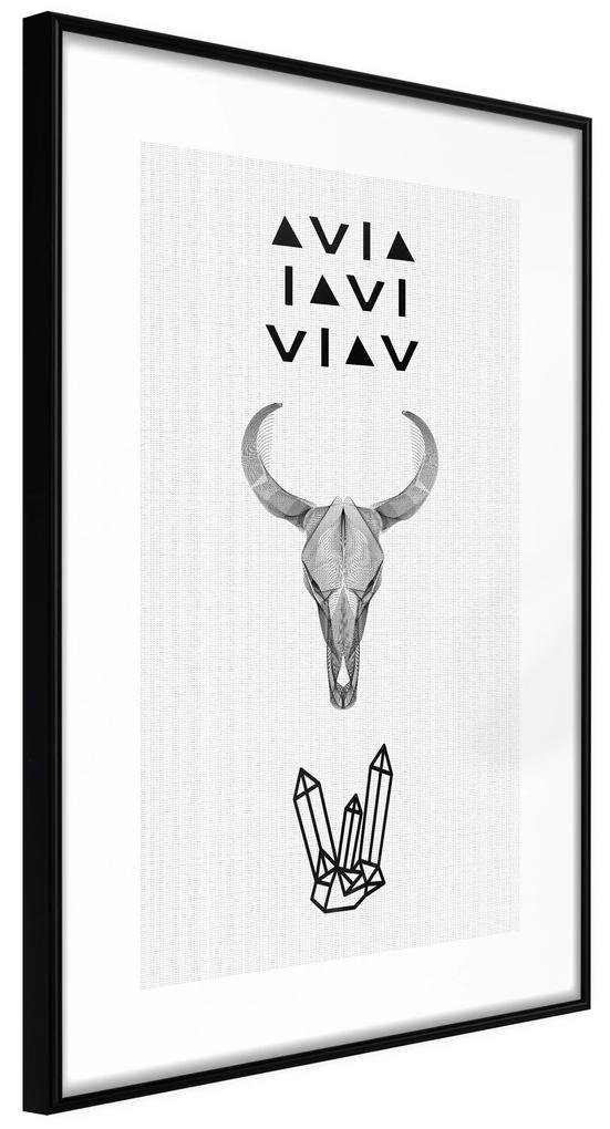 Artgeist Plagát - Animal Skull [Poster] Veľkosť: 40x60, Verzia: Čierny rám s passe-partout