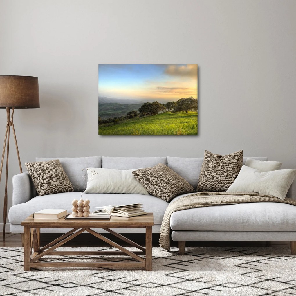 Obraz - Výhľad z kopca (70x50 cm)