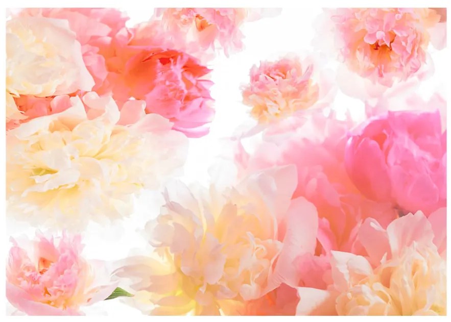 Artgeist Fototapeta - Pastel peonies Veľkosť: 150x105, Verzia: Premium