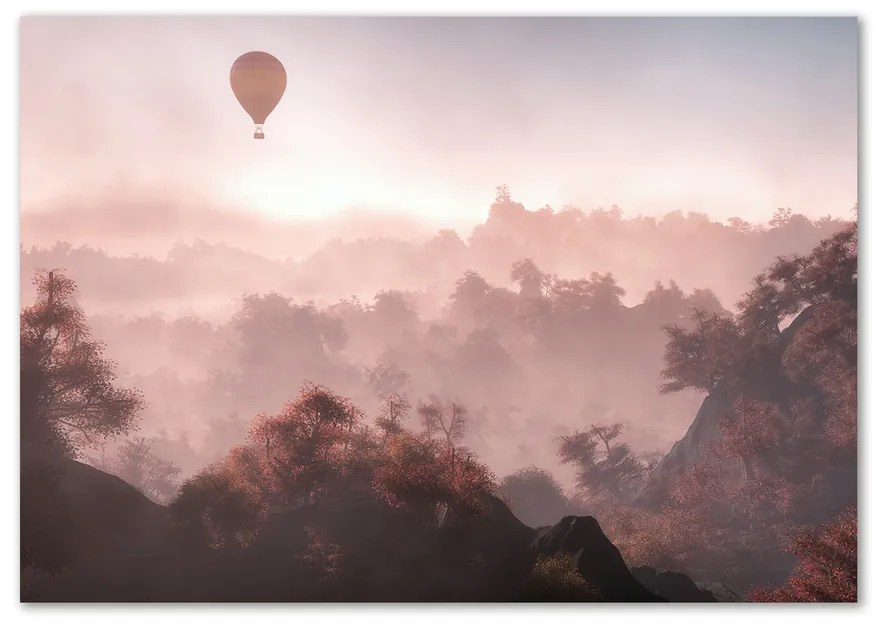Foto obraz sklenený horizontálne Balon nad lesom pl-osh-100x70-f-73608942
