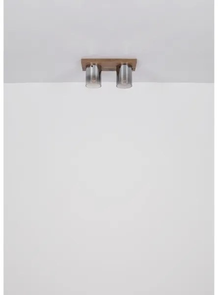 Globo 15915-2 - Stropné svietidlo UNDERWOOD 2xE27/40W/230V 16x41 cm