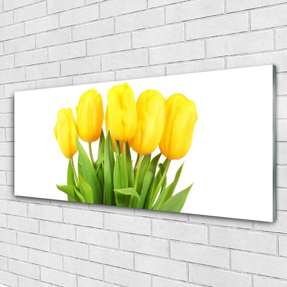 Obraz plexi Tulipány kvety rastlina 125x50 cm