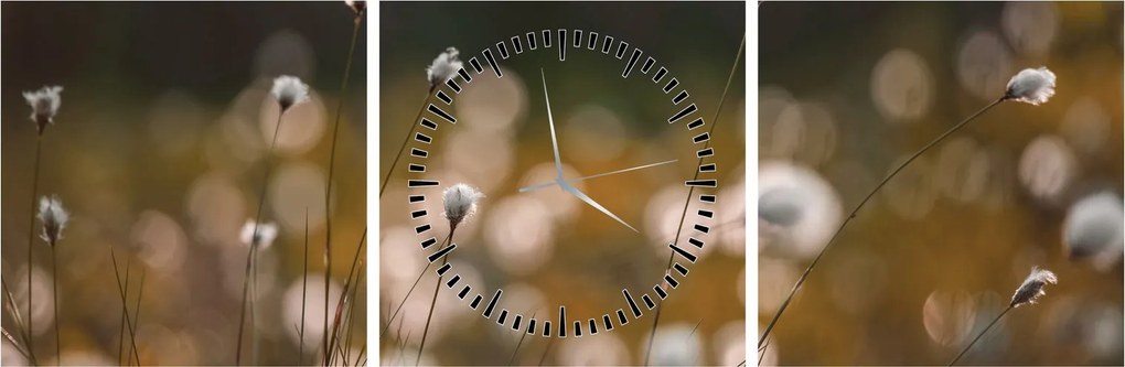 Obraz - Lúka s cottongrass N⁰2 (s hodinami) (90x30 cm)