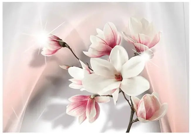 Fototapeta - White magnolias Veľkosť: 200x140, Verzia: Premium