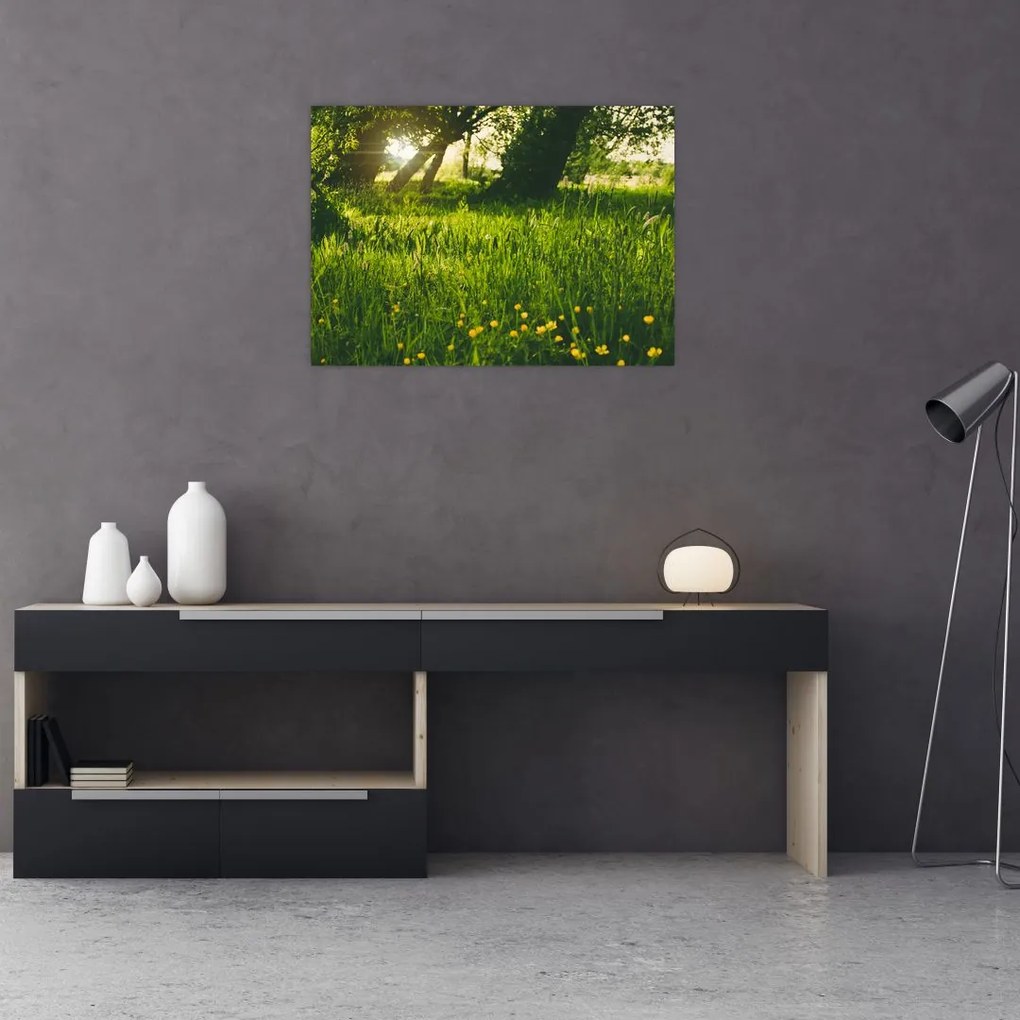 Sklenený obraz prírody - lúka (70x50 cm)