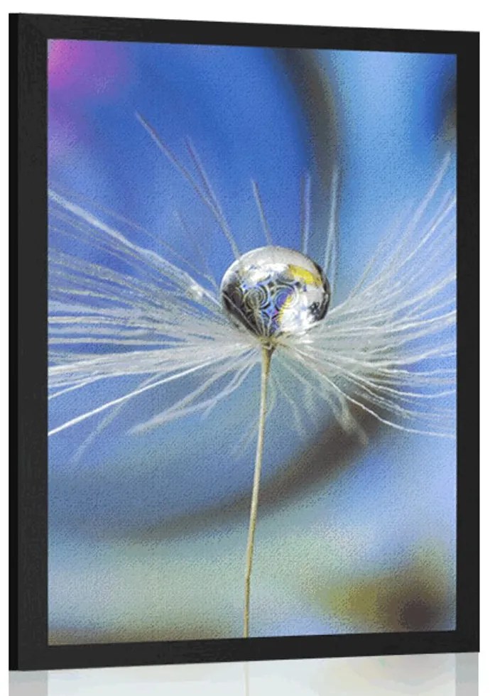 Plagát kvapka rosy na farebnom pozadí - 60x90 white