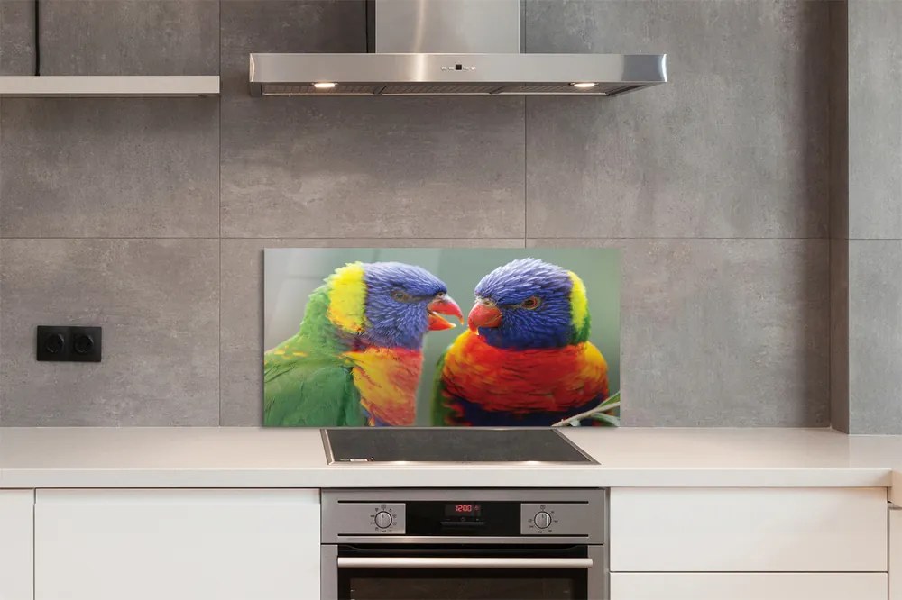 Nástenný panel  farebný papagáj 140x70 cm