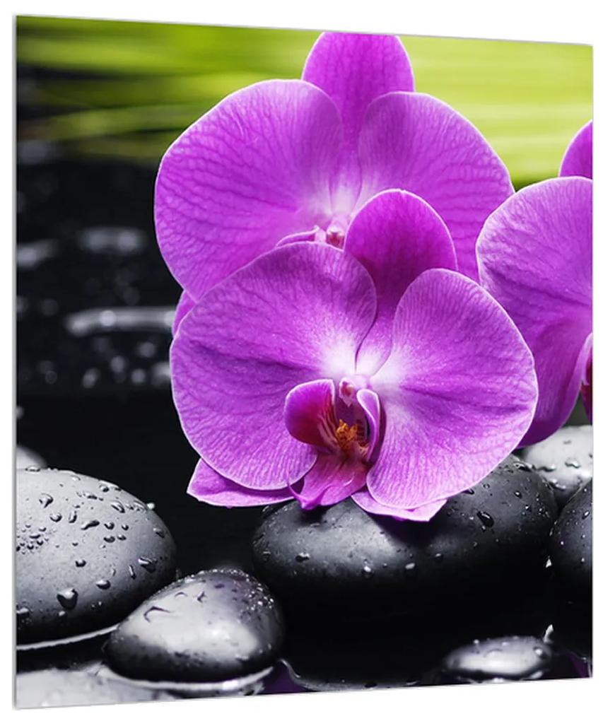 Obraz orchideí (30x30 cm)