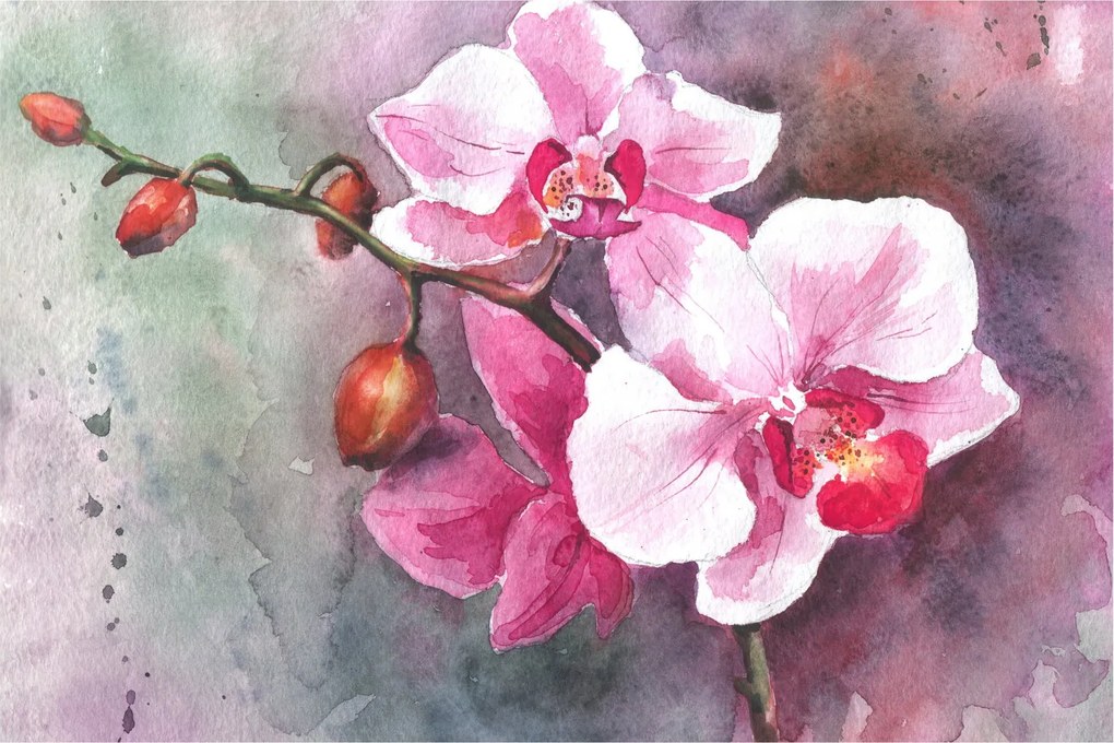 Obraz - Orchidey, aquarel (90x60 cm)