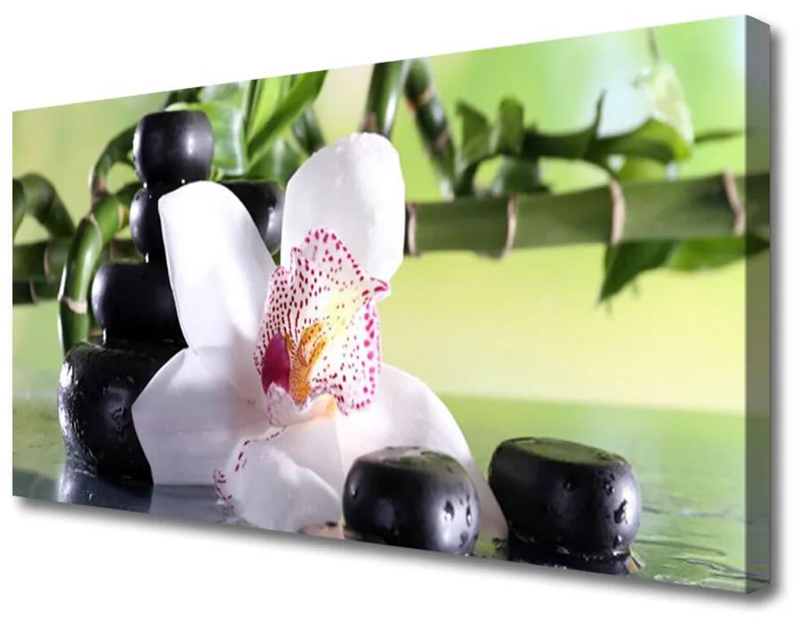 Obraz Canvas Orchidea kamene bambus 120x60 cm