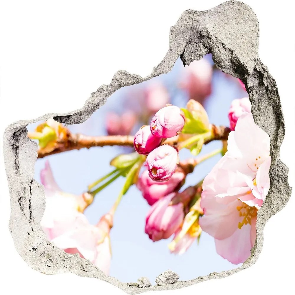 Foto fotografie diera na stenu Čerešňové kvety nd-p-81280422
