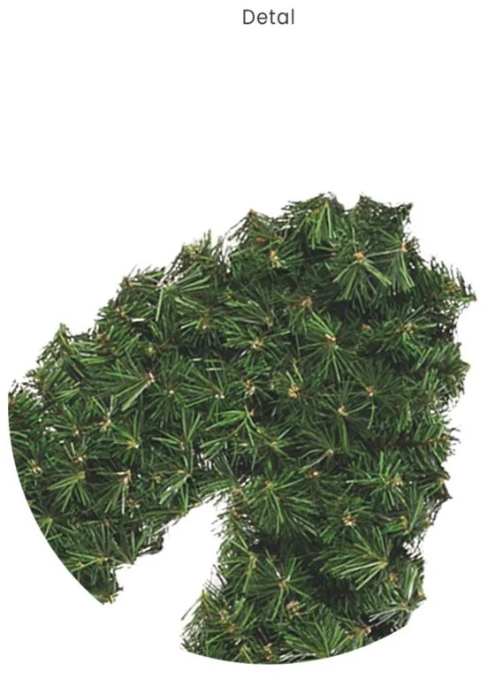 Hviezda kráľovská 100cm